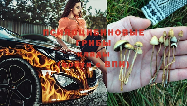 амф Абинск