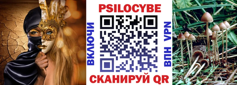 Псилоцибиновые грибы мухоморы  Пенза 